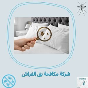 افضل شركة مكافحة بق الفراش