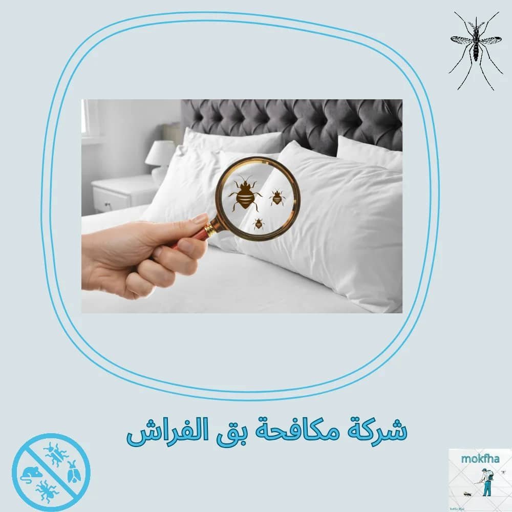 افضل شركة مكافحة بق الفراش