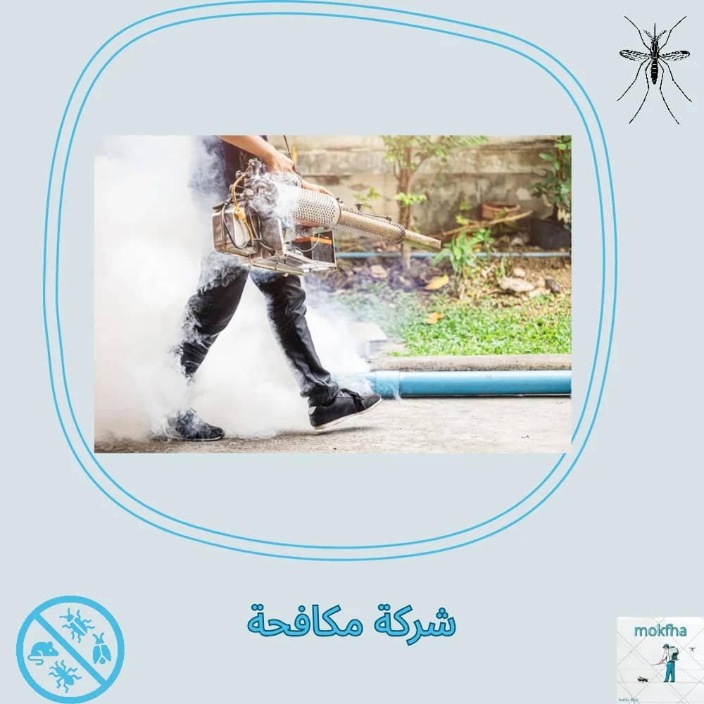 مكافحة جميع أنواع القوارض والحشرات