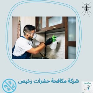 افضل شركة مكافحة حشرات بالكويت للعام الجاري