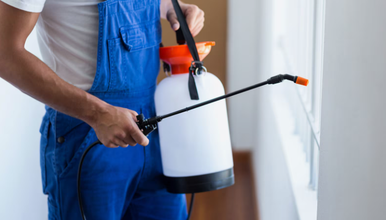 رش حشرات بالكويت